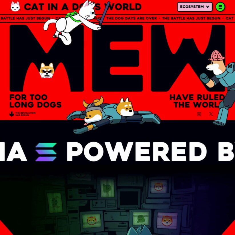 MEW – cat in a dogs world