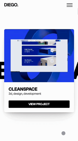 Diego – Brand Designer & Webflow Developer.