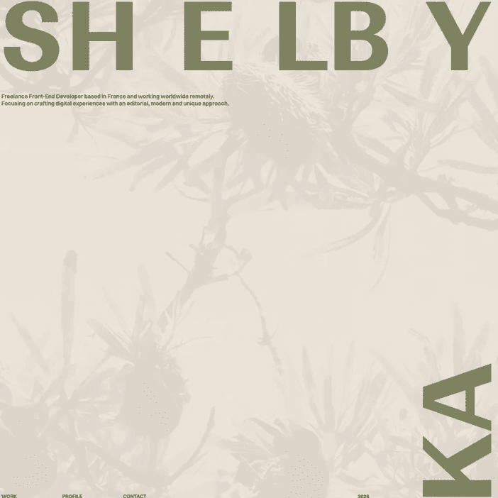 Shelby Kay • Freelance Front-End Developer