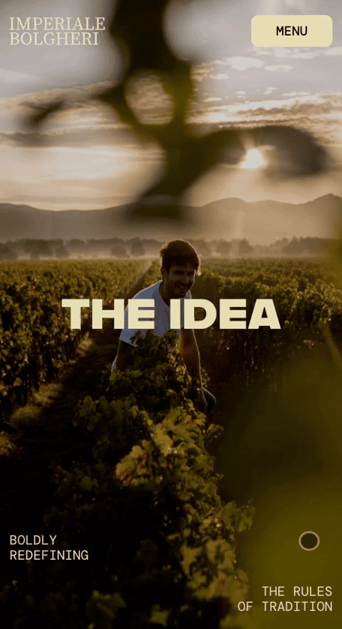 Our Wine Philosophy – Imperiale Bolgheri